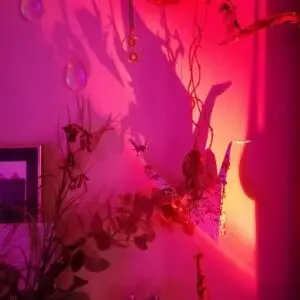 Suzy's Oxytocin Soirée